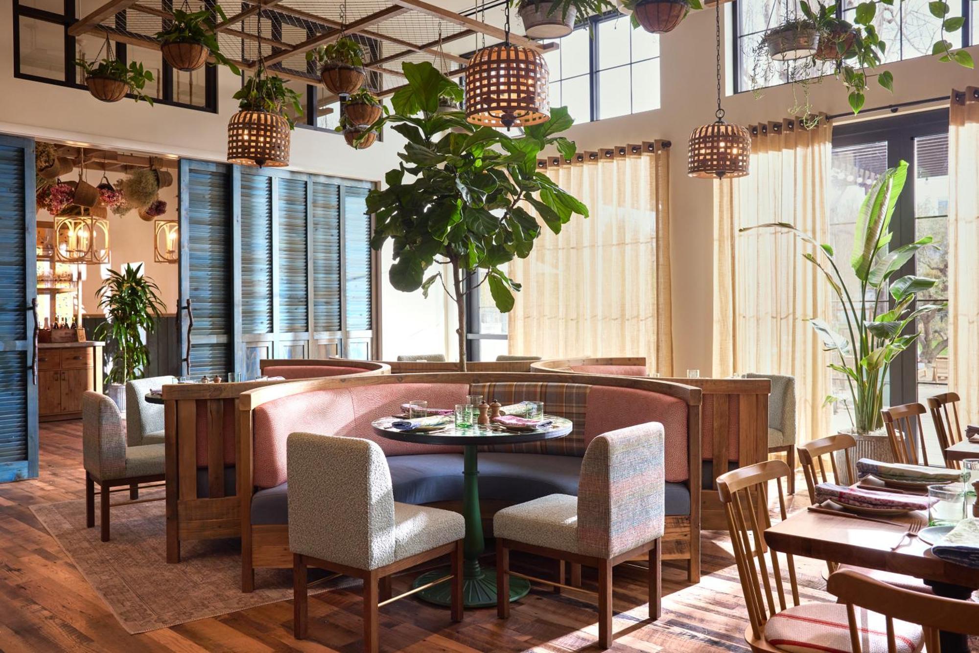 Treehouse Hotel Silicon Valley Sunnyvale Zewnętrze zdjęcie