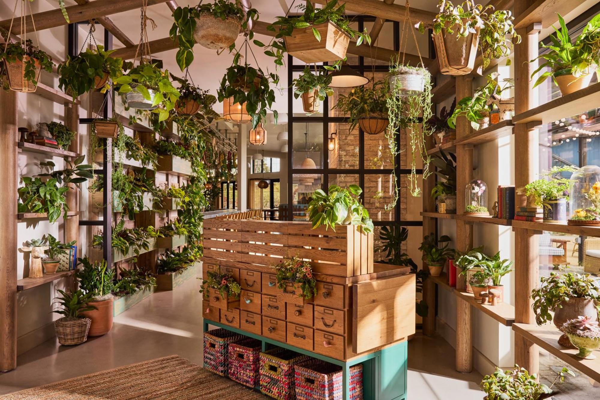 Treehouse Hotel Silicon Valley Sunnyvale Zewnętrze zdjęcie